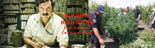 синтетический гашиш Новодвинск