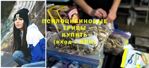 марки nbome Новозыбков