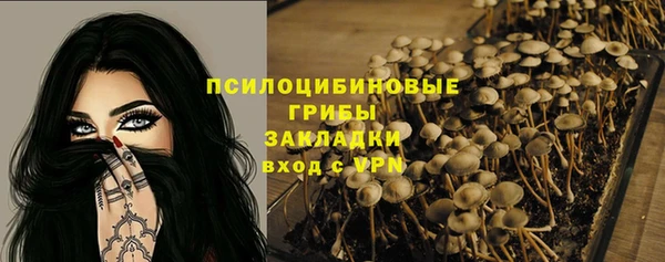 героин Няндома