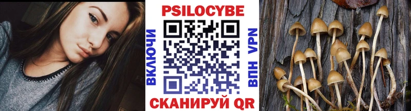 Псилоцибиновые грибы Psilocybine cubensis  где продают   Рошаль 